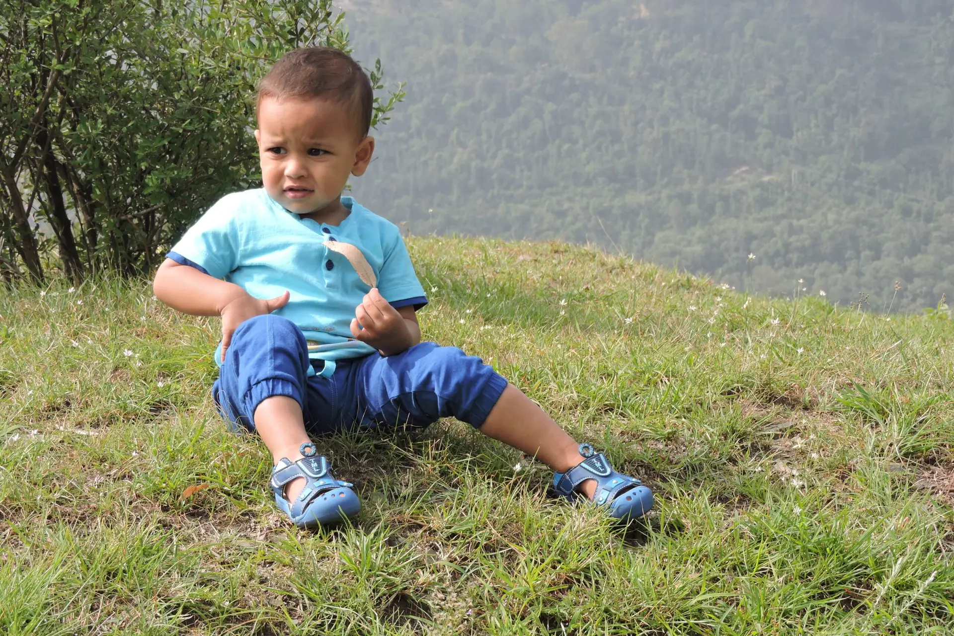 Joshua S Chauhan